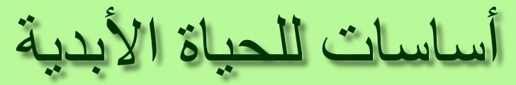  صورة نصية تمثل عنوان صفحة الويب: أساسات للحياة الأبدية 